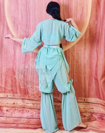 ベリーダンス衣装としても使える華やかさを兼ね備えたレッスン着。ベリーダンサーが着用し後ろ向きにポーズをとっている構図。