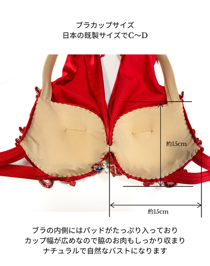 ベリーダンス衣装のブラカップ内側とサイズ詳細。厚みのあるパッドとカップの縦横の寸法が確認できる画像。