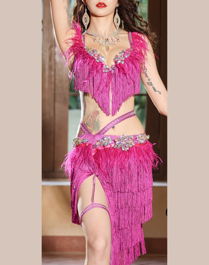 胸元からウエストにかけての装飾とフリンジを中心に写した上半身カット。ピンクのフリンジが細かく重なるベリーダンス衣装の質感が分かる写真。